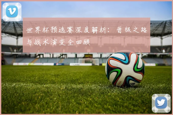 世界杯预选赛深度解析:晋级之路与战术演变全回顾