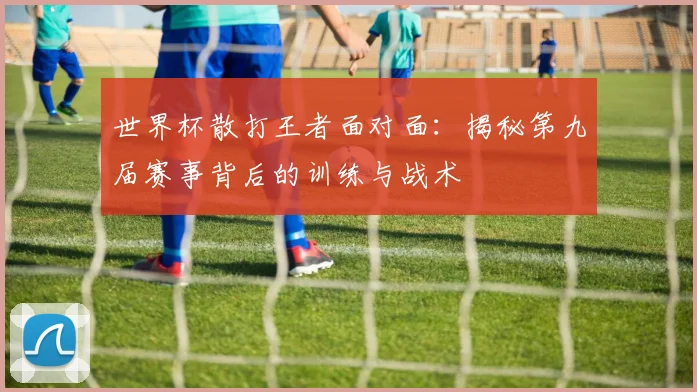 世界杯散打王者面对面：揭秘第九届赛事背后的训练与战术
