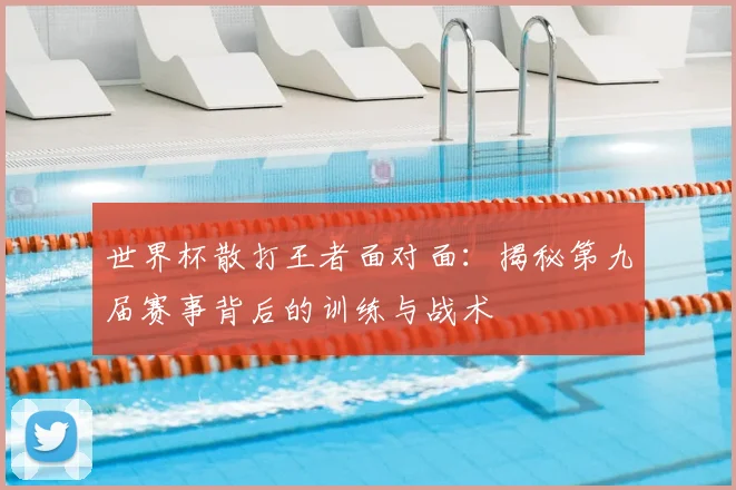 世界杯散打王者面对面：揭秘第九届赛事背后的训练与战术