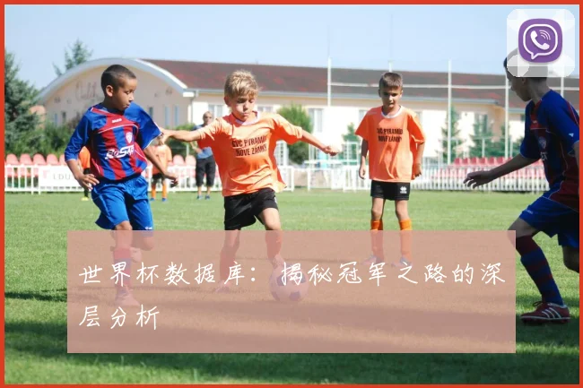 世界杯数据库：揭秘冠军之路的深层分析