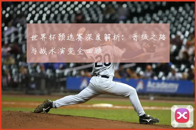 世界杯预选赛深度解析:晋级之路与战术演变全回顾