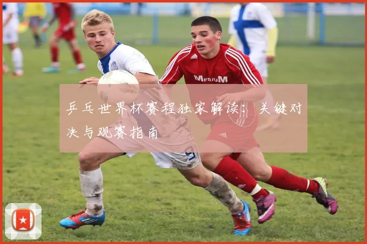 乒乓世界杯赛程独家解读：关键对决与观赛指南