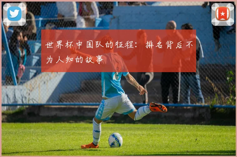 世界杯中国队的征程：排名背后不为人知的故事
